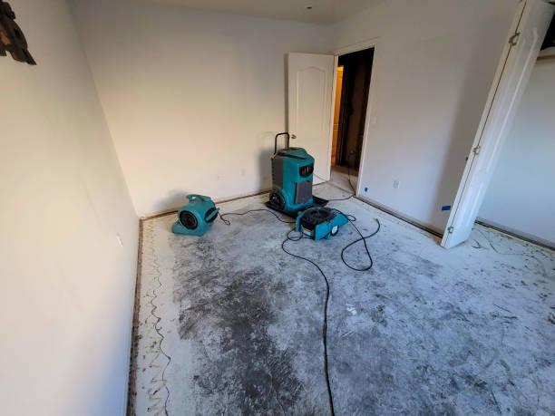 Carpet water damage restoration in Bloomington, IN